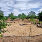 Espace de détente sablonneux à Lompoul Nature, situé à 1 km du désert et 500 m de l'océan.