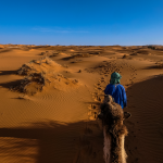 Vue panoramique de l'écolodge Lompoul Nature, situé entre les dunes de sable et le littoral.