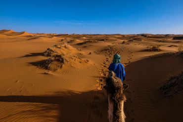 Vue panoramique de l'écolodge Lompoul Nature, situé entre les dunes de sable et le littoral.