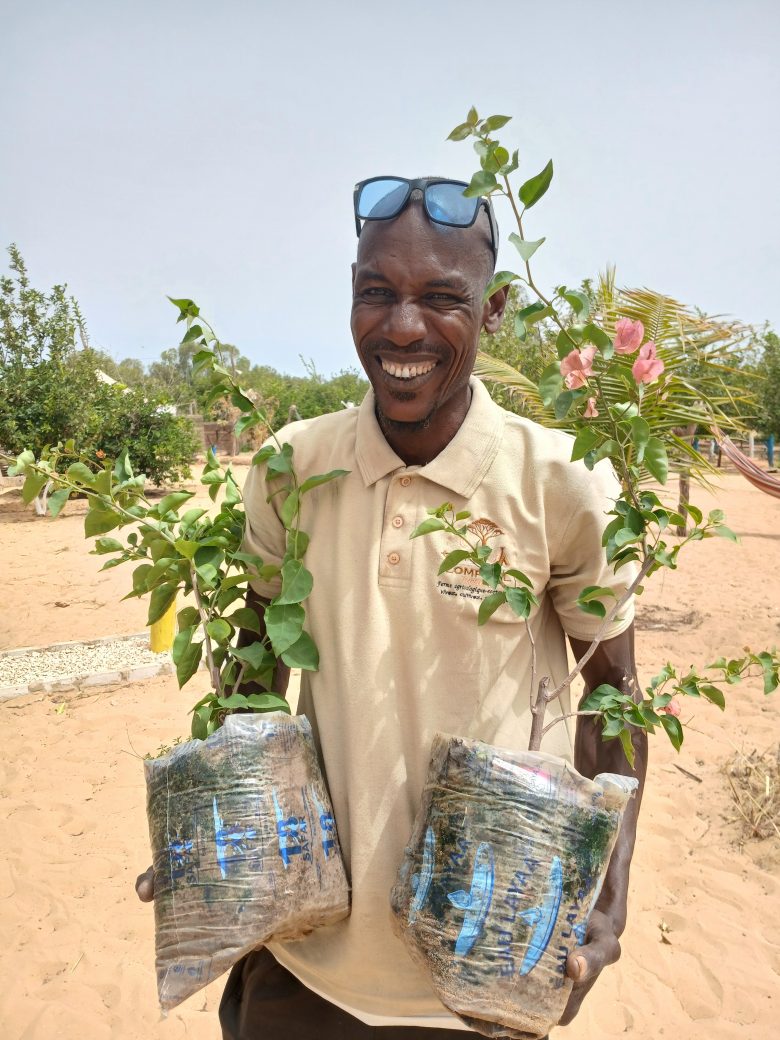 Membre de l’équipe de Lompoul Nature présentant de jeunes plants pour la végétalisation du site à Lompoul au Sénégal