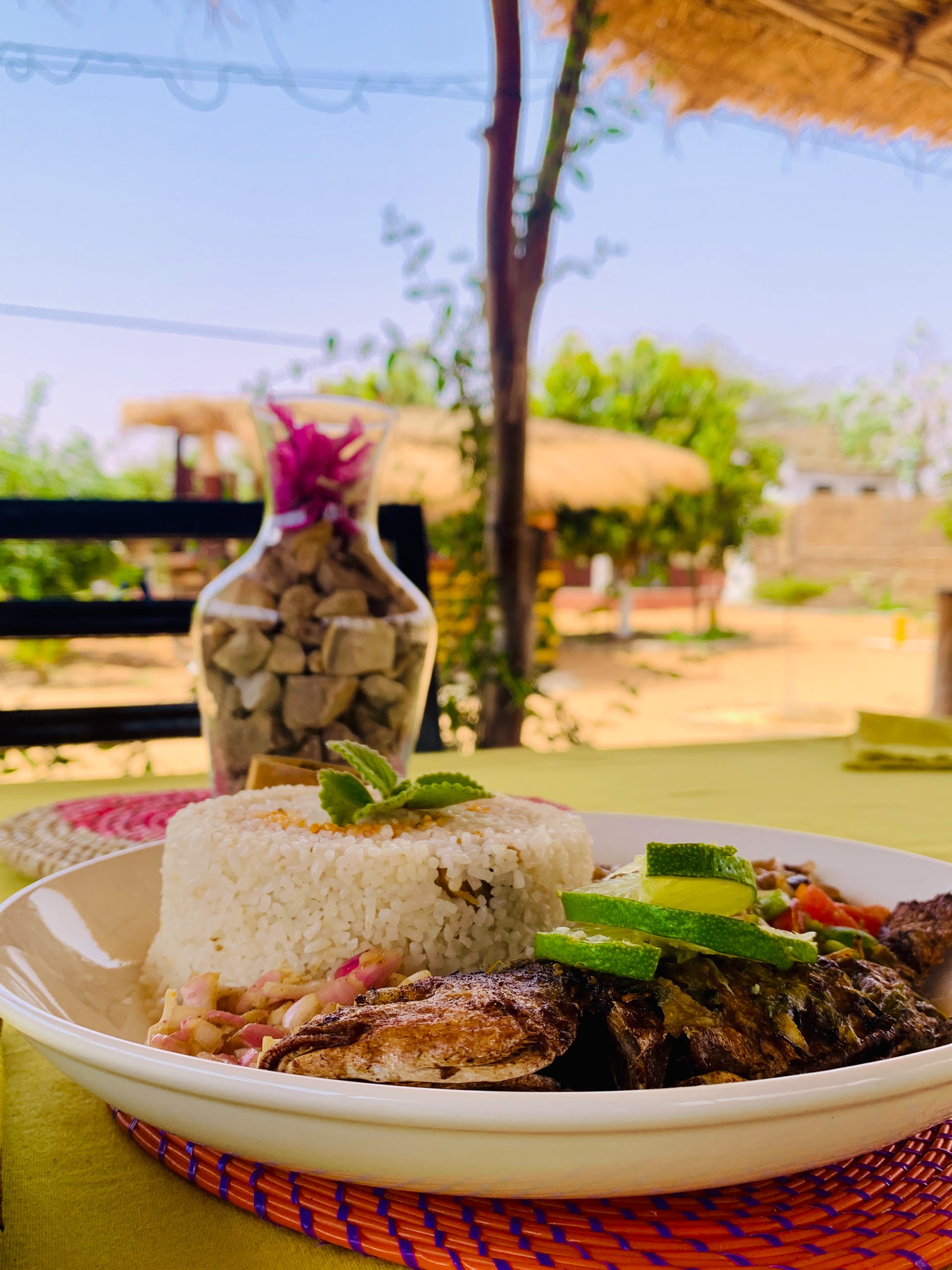 Plat c'est bon, des saveurs traditionnelles du Sénégal
