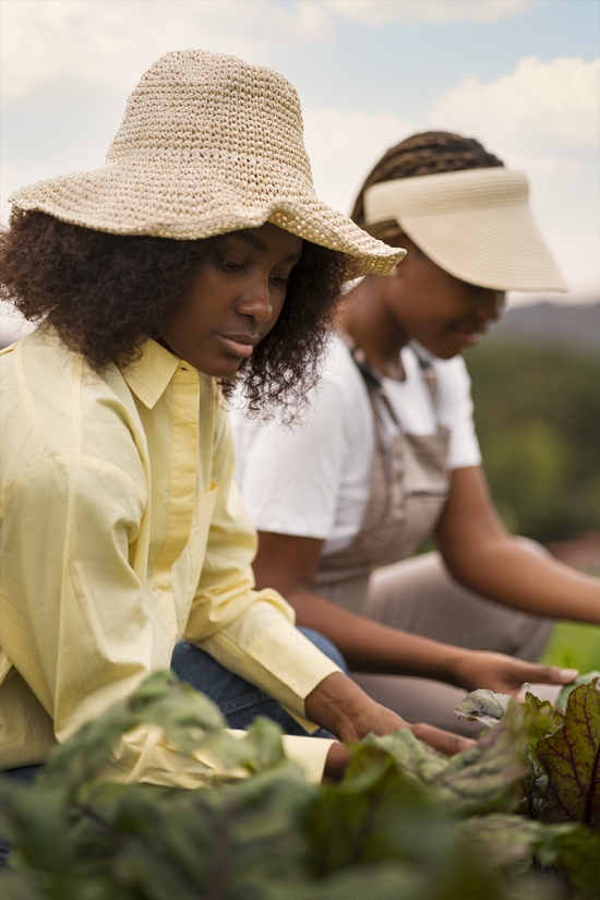 Écosystème préservé et flore locale illustrant la biodiversité environnante à l’écolodge Lompoul Nature.