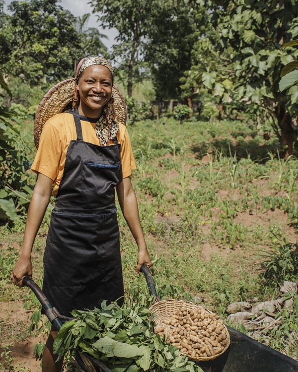 Vue d'ensemble de la ferme agroécologique Lompoul Nature, située entre les dunes et l'Atlantique.