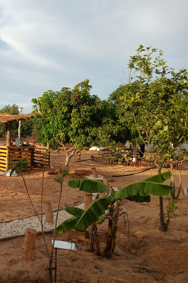 Vue d'un aménagement respectueux de l'environnement à Lompoul Nature, situé entre dunes et littoral.
